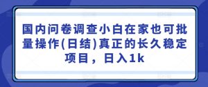 国内问卷调查小白在家也可批量操作(日结)真正的长久稳定项目,日入1k【揭秘】-风淘社
