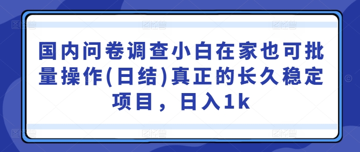 国内问卷调查小白在家也可批量操作(日结)真正的长久稳定项目,日入1k【揭秘】-风淘社
