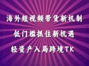 海外短视频Tiktok带货新机制,低门槛抓住新机遇,轻资产入局跨境TK-风淘社