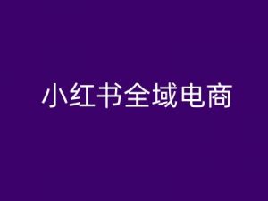 小红书全域电商,小红书电商教程-风淘社
