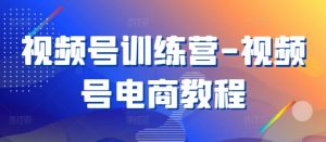 视频号训练营-视频号电商教程-风淘社