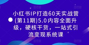 小红书IP打造60天实战营(第11期)5.0内容全面升级,硬核干货,一站式引流变现系统课-风淘社