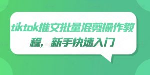 tiktok推文批量混剪操作教程,新手快速入门-风淘社