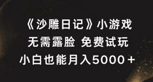 《沙雕日记》小游戏,无需露脸免费试玩,小白也能月入5000+【揭秘】-风淘社