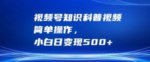 视频号知识科普视频,简单操作,小白日变现500+【揭秘】-风淘社