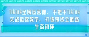 TikTok全域运营课,手把手TikTok实战运营教学,打造带货全链路生态闭环-风淘社