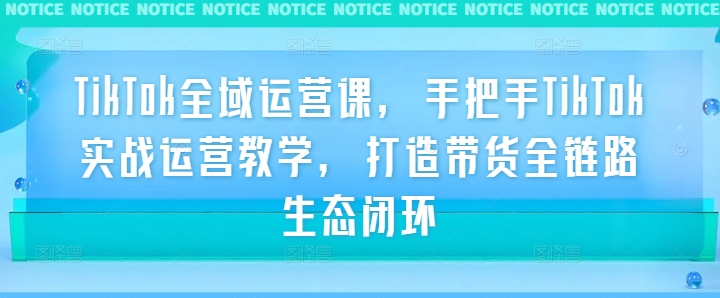 TikTok全域运营课,手把手TikTok实战运营教学,打造带货全链路生态闭环-风淘社