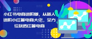 小红书电商进阶版,从新人进阶小红薯电商大佬,全方位玩透红薯电商-风淘社