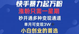 快手暴力起万粉,涨粉只需一星期,多种变现模式,直接秒开万合,单月变现过W【揭秘】-风淘社