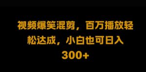 视频号零门槛,爆火视频搬运后二次剪辑,轻松达成日入1k【揭秘】-风淘社