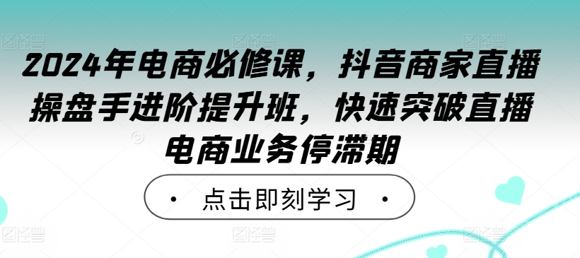 2024年电商必修课，抖音商家直播操盘手进阶提升班，快速突破直播电商业务停滞期-风淘社