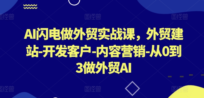 AI闪电做外贸实战课,外贸建站-开发客户-内容营销-从0到3做外贸AI(更新)-风淘社