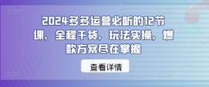 2024多多运营必听的12节课,全程干货,玩法实操,爆款方案尽在掌握-风淘社
