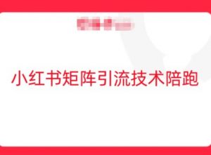 小红书矩阵引流技术，教大家玩转小红书流量-风淘社