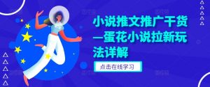 小说推文推广干货—蛋花小说拉新玩法详解-风淘社