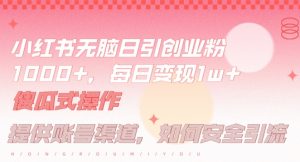小红书无脑每日引流创业粉500+,小白每天只花半小时,躺赚长尾收益【揭秘】-风淘社