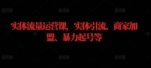 实体流量运营课,实体引流、商家加盟、暴力起号等-风淘社