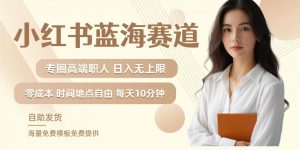 小红书蓝海赛道,圈中高端职场人,月入无上限,可矩阵,内含私域实操教程!-风淘社