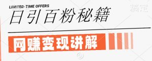 最新闲鱼引流创业粉，日引100+，网创项目虚变现讲解【揭秘】-风淘社