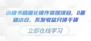 小绿书精细化操作变现项目，0基础小白，不发收益只讲干货-风淘社