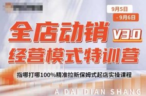 全店动销经营模式特训营,指哪打哪100%精准拉新保姆式起店实操课程-风淘社