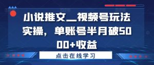 小说推文—视频号玩法实操，单账号半月破5000+收益-风淘社