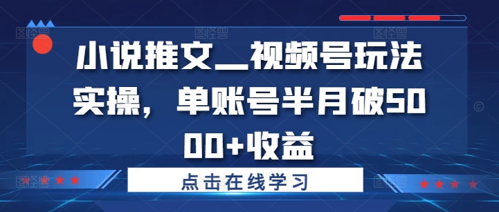 小说推文—视频号玩法实操，单账号半月破5000+收益-风淘社