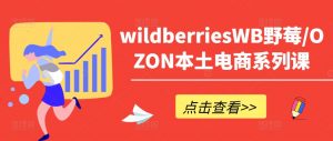 wildberriesWB野莓/OZON本土电商系列课,掌握WB产品优化,出单技巧和订单处理等-风淘社