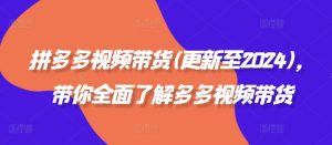 拼多多视频带货(更新至2024)，带你全面了解多多视频带货-风淘社