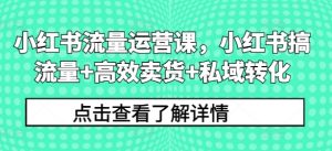 小红书流量运营课,小红书搞流量+高效卖货+私域转化-风淘社
