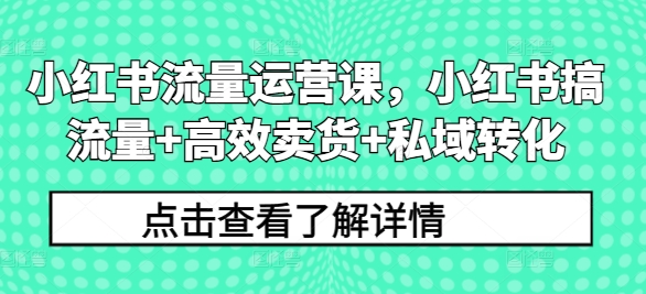 小红书流量运营课,小红书搞流量+高效卖货+私域转化-风淘社