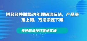 拼多多特训营24年爆破流玩法,产品决定上限,方法决定下限,各种玩法技巧落地实操-风淘社