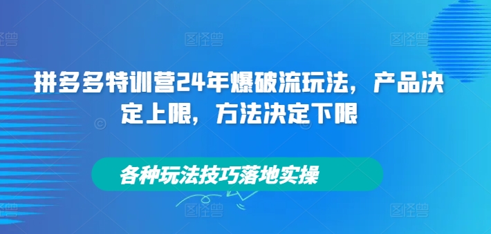 拼多多特训营24年爆破流玩法,产品决定上限,方法决定下限,各种玩法技巧落地实操-风淘社