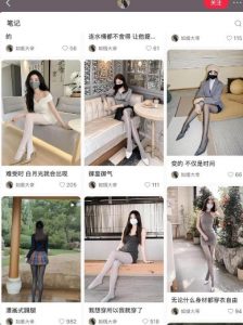 AI打造网红账号,一周收入超5位数,还能矩阵操做-风淘社