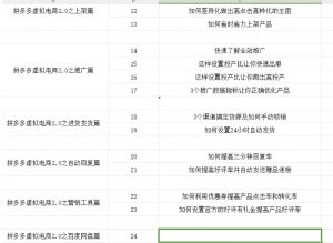 拼多多虚拟电商2.0项目,市面上最好,最全,最让人容易上手实操的拼多多虚拟电商课程-风淘社