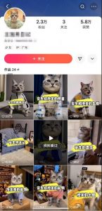 快手MT搬运技术，一比一搬运不剪辑，剧情可用，条条同框-风淘社