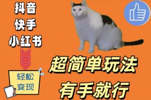 超简单玩法,有手就行,靠猫咪视频日入500+【揭秘】-风淘社