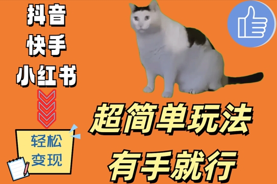 超简单玩法,有手就行,靠猫咪视频日入500+【揭秘】-风淘社