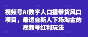 视频号AI数字人口播带货风口项目,最适合新人下场淘金的视频号红利玩法-风淘社