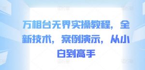 万相台无界实操教程,全新技术,案例演示,从小白到高手-风淘社