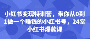 小红书变现特训营，带你从0到1做一个赚钱的小红书号，24堂小红书爆款课-风淘社