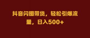 抖音闪图带货，轻松引爆流量，日入几张【揭秘】-风淘社