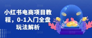 小红书电商项目教程,0-1入门全盘玩法解析-风淘社
