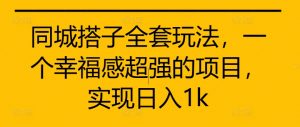 同城搭子全套玩法,一个幸福感超强的项目,实现日入1k【揭秘】-风淘社