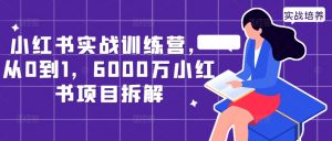 小红书实战训练营，从0到1，6000万小红书项目拆解-风淘社