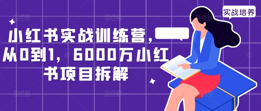 小红书实战训练营，从0到1，6000万小红书项目拆解-风淘社