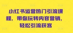 小红书运营热门引流课程,带你玩转内容营销,轻松引流获客-风淘社
