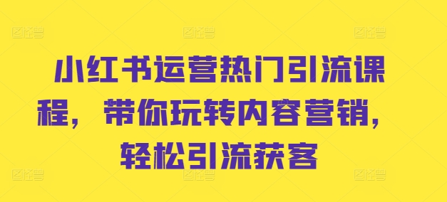 小红书运营热门引流课程,带你玩转内容营销,轻松引流获客-风淘社