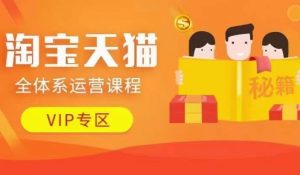 淘宝天猫全体系运营课程【9月24更新】,店铺全系运营、动销玩法、擦边球玩法等等-风淘社