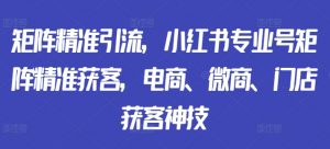 矩阵精准引流,小红书专业号矩阵精准获客,电商、微商、门店获客神技-风淘社